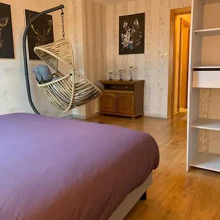 Duplex De 40 M2 En Hyper Centre Gérardmer
