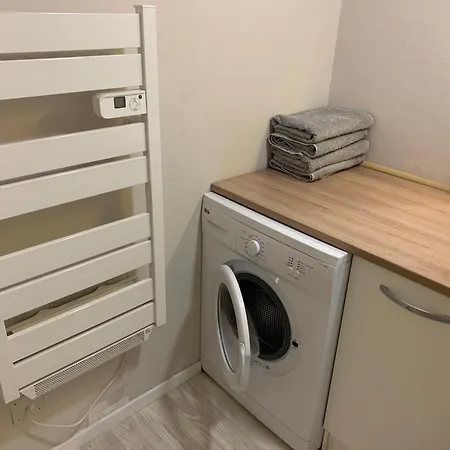 Duplex De 40 M2 En Hyper Centre Apartament
